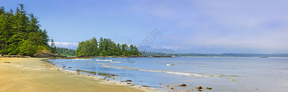 加拿大温哥华岛太平洋海岸 加拿大温哥华全景海岸支撑树木风景荒野泡沫冲浪海洋岛屿图片