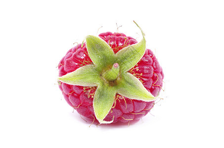 树莓草莓甜点饮食红色花园绿色叶子养分水果果味食物图片