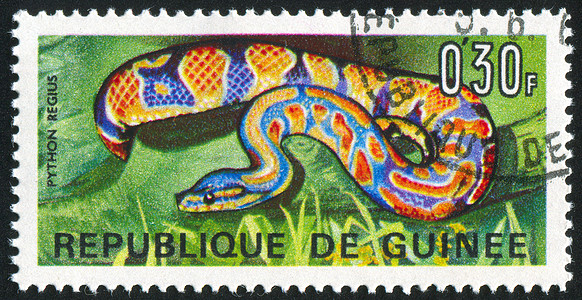 Python 符号邮资信封眼睛爬虫邮戳古董集邮邮票捕食者野生动物图片