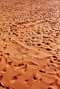 海沙沙线条海滩海岸漂移波纹太阳沙丘干旱沙漠金子图片