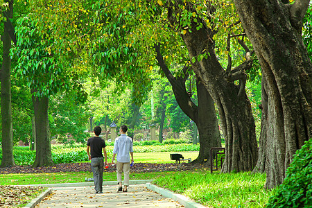 河边漫步中国广州花园的漫步道植物森林假期土地小路国家草地旅行射线晴天背景