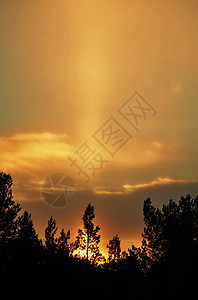 日出尾巴橙子仙境天空日落临界点芙蓉松树夜空边界图片