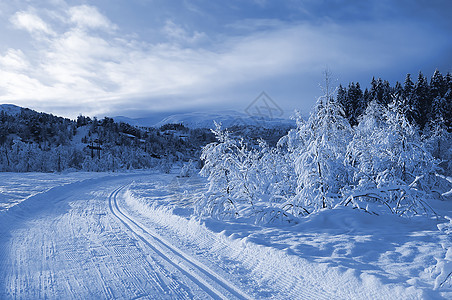 冬季奇幻乐园的滑雪赛车场曲线国家蓝色森林仙境山脉树木越野白色松树图片