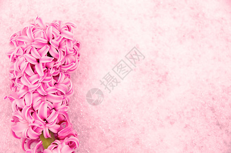 花边框香味粉色风格边界装饰白色框架灯泡背景图片