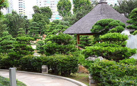 城市中中国风格公园尼姑庵佛教徒池塘园林院子寺庙鲤鱼途径文化人行道图片