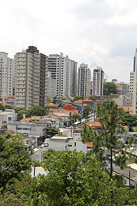 查看圣保罗城市风景市中心景观城市化植物建筑学场景旅行建筑图片