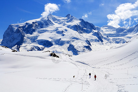在瑞士Mathorhon远足路线草地黄色旅行顶峰天空地标假期爬坡蓝色远足图片