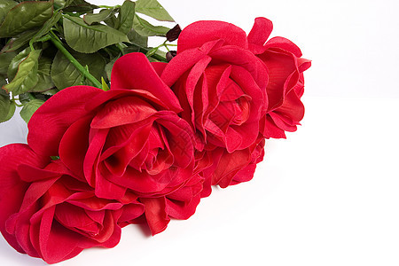 彩玫瑰花束婚礼红色花朵玫瑰图片