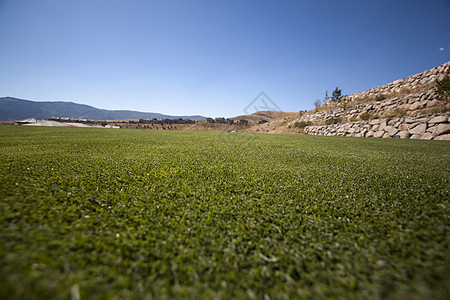 高尔夫球场有绿草和清蓝的天空运动面积运动场环境活力植物生长风景草皮小鸟图片