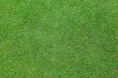 绿绿草足球叶子土地草地草皮公园墙纸场地环境园艺图片
