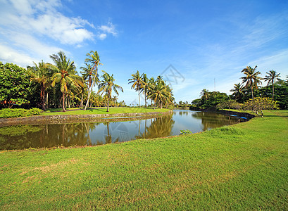 印度尼西亚巴厘岛的美丽热带公园图片