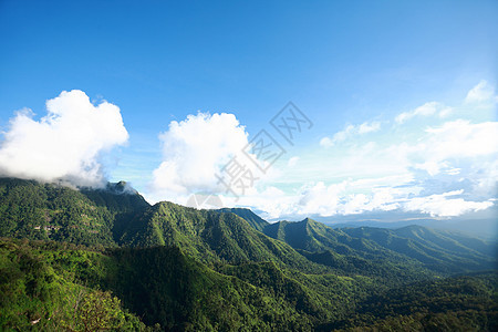 绿林和高山绿色国家农村木头爬坡季节天空天堂热带旅行图片