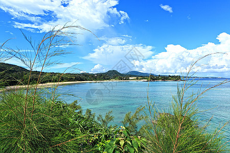 霍基那瓦海滩旅行海洋蓝色海景海岸晴天异国地平线热带海浪图片