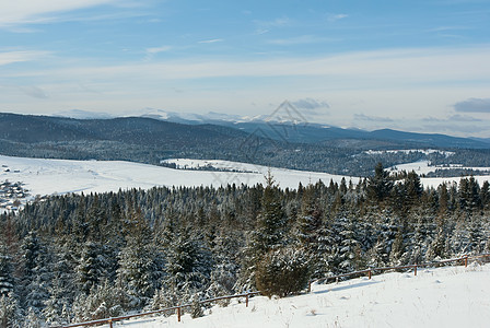 冬季山上满是雪的树木图片