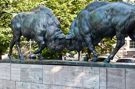 动物雕塑两头水牛雕塑城市动物纪念碑街道斗争牛角荒野艺术野牛背景