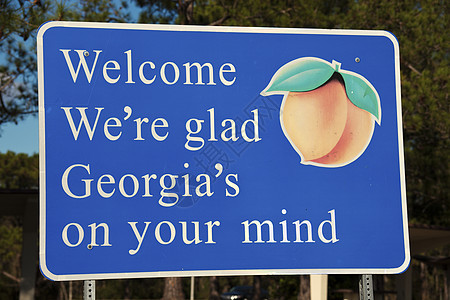 欢迎来到格鲁吉亚旅行路标水果蓝色图片