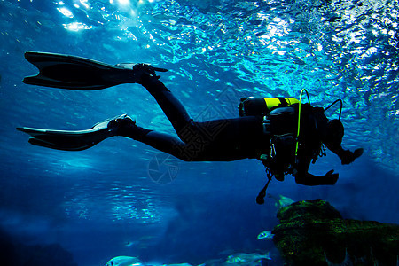 潜水在海洋水下乐趣运动气泡爱好热带太阳探索旅行浮潜游泳图片