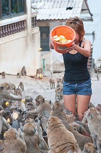 女人喂养猴子图片