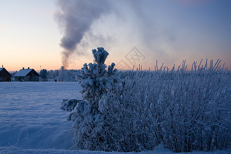 俄罗斯冬季天空雪花冻结木头森林雪景季节蓝色寒冷国家图片