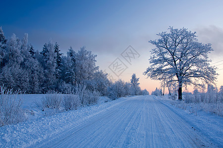 俄罗斯冬季木头天空风景寒冷季节蓝色雪景冻结雪花国家图片