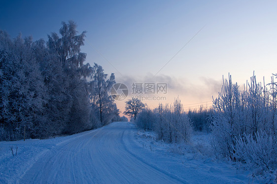 俄罗斯冬季木头场景天空雪花风景森林雪景蓝色季节冻结图片