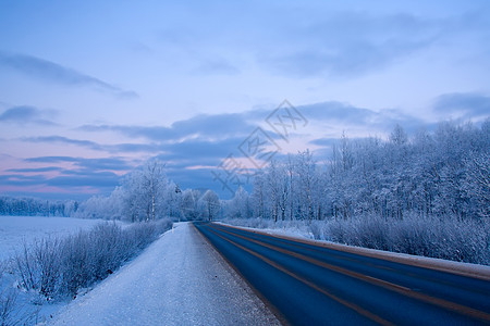 俄罗斯冬季寒意场景木头国家天空蓝色风景雪花季节寒冷图片