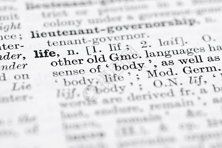 英文词典中的定义 生命打印黑色字母字典出版物工作语言解释写作宏观图片
