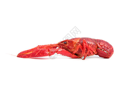 虾食物海鲜美食泥虫红色美味白色背景图片