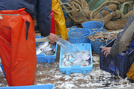 海鲜码头渔民亲手在船甲板上捕渔盒子海鲜蓝色软管钓鱼男人旅行血管商业食物背景