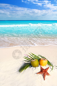 热带海滩的椰子鸡果汁和海星棕榈蓝色通体假期装饰品椰子波纹泡沫饮料波浪图片