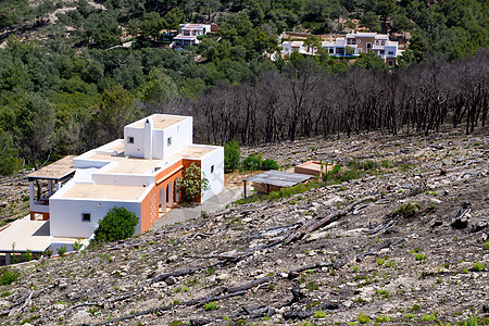 2011年春季Ibiza火灾后树干灾难生态环境煤渣旅游国家旅行破坏地标图片