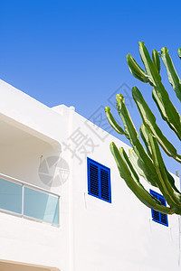 Formentera的白地中海仙人掌屋图片