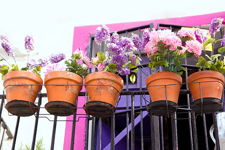 伊比扎的粉色和紫色花阳台图片