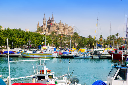 帕尔马港Palma码头大教堂观光树木阳光晴天地标港口城市假期旅游蓝色纪念碑图片