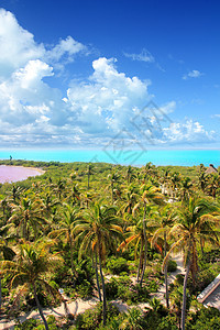 孔托伊热带加勒比岛屿 墨西哥海岛海滩野生动物地标海洋情调异国国家假期天线晴天图片