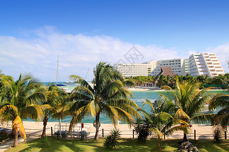坎昆墨西哥湖和加勒比海太阳旅行天堂海滩支撑蓝色阳光海岸树木热带图片