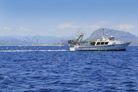 许多海鸥的蓝色大洋号 蓝洋渔船渔夫血管晴天木头海洋工作钓鱼海鲜海岸图片