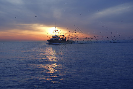 日落日出时专业渔船海鸥海浪海岸血管橙子钓鱼蓝色日落太阳港口海洋图片