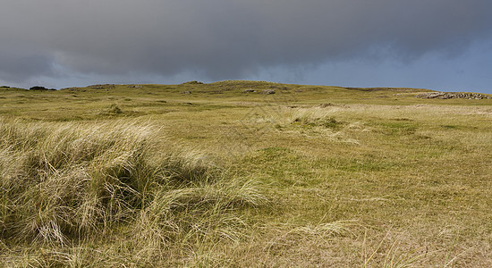 北部苏格兰的沙丘农村湿地退休荒地风景水平图片