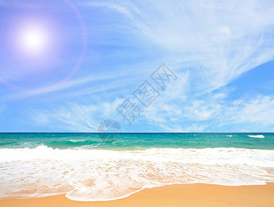 白沙滩叶子海滩植物假期公园热带全景旅行蓝色地标图片