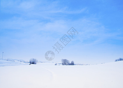 下雪景全景木头童话天气气候高地森林植物群环境太阳图片