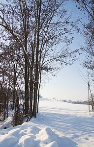下雪景木头全景旅行照明天空植物群季节童话太阳天气图片