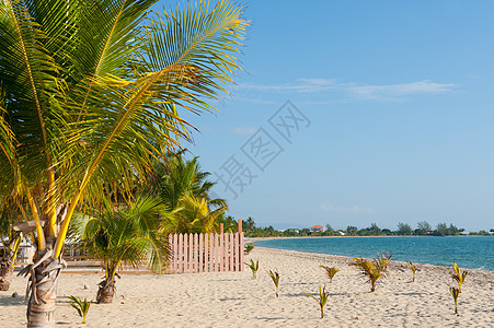 伯利兹Placencia海滩背景图片