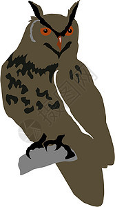猫头鹰尾巴黑色翅膀羽毛白色艺术飞行自由绘画插图图片