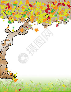 格式 字母树秋叶子卡片宾客创造力天气预印绘画表格木头季节图片