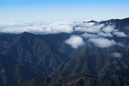 中国湖北申农家山地貌山脉树木旅游松树森林背景图片