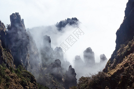 中国湖北申农家山地貌石林树木松树山脉旅游森林图片