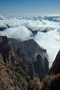 中国湖北申农家山地貌旅游森林树木山脉松树图片