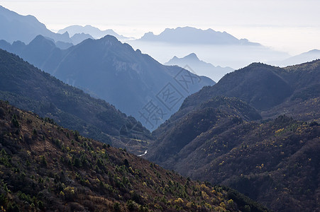 中国湖北申农家山地貌山脉森林旅游松树树木图片