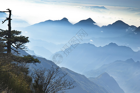 中国湖北申农家山地貌松树山脉森林旅游树木图片